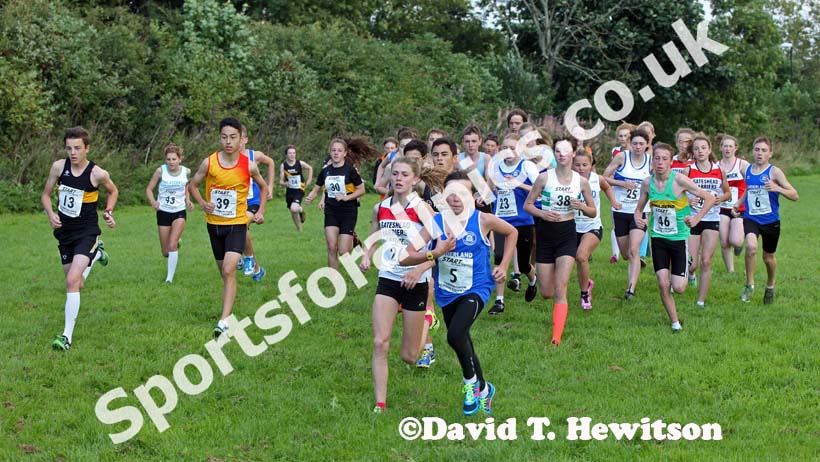 The start of the under-15s at the Sunderland Open Cross Country.